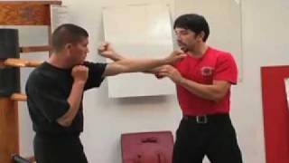 Jeet Kune Do Explosive Tutorial [upl. by Assyl854]