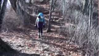 鷹ノ巣山登山東日原から Mt Takanosu climbing From higashinippara [upl. by Hasila]