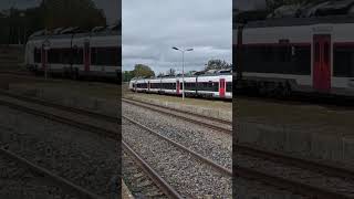 TER to Vittel at Langres station train trainspotting [upl. by Elaynad864]