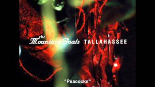 The Mountain Goats  Peacocks  Tallahassee [upl. by Allyn612]