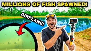 MILLIONS of Fish SPAWNED in My BACKYARD Pond Underwater AIRPLANE Footage [upl. by Yeltrab]