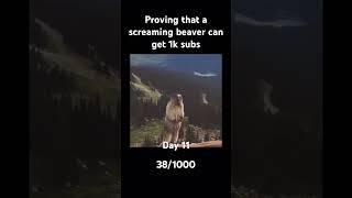 Day 11 of proving that a screaming beaver can get 1k subs 🦫 funny [upl. by Nivets]