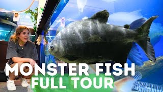 Worlds LARGEST Monster Fish FULL Tour at Ohio Fish Rescue [upl. by Iand]