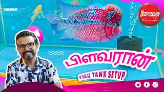 Flowerhorn Fish Tank Setup in TAMIL  3 Feet bare bottom aquarium [upl. by Lyda]