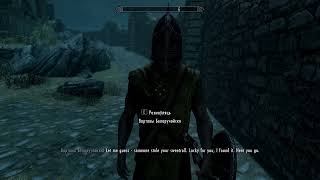 a guard actually found my stolen sweetroll in skyrim [upl. by Blackington409]