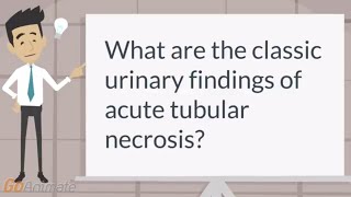 What are the classic findings of acute tubular necrosis [upl. by Bury291]