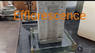 Efflorescence test for Bricks as per IS 3495 P3 [upl. by Mihalco258]