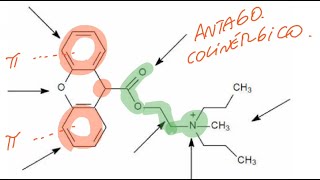 Farmacoquímica del sistema nervioso autónomo Control de Colinérgicos y adrenérgicos [upl. by Claud]