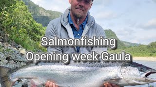 Salmonfishing Gaula river 2024 [upl. by Rambow]