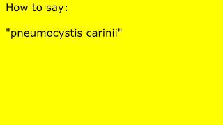 How to pronounce pneumocystis carinii [upl. by Hgielrak180]