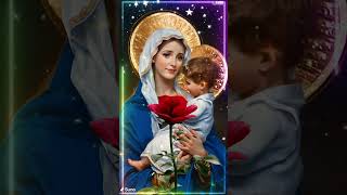 Ringrazia mamma Maria anche se solo per pochi minutiТОССА MARIA INSERISCI AMEN GesùMadonnaMaria [upl. by Oetomit696]