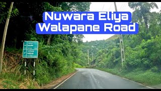 Breathtaking Nuwara EliyaWalapane Road  SRI LANKA [upl. by Hatty687]