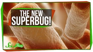 The New Superbug [upl. by Jannery714]