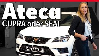 2019 Suzuki Vitara vs 2018 Seat Ateca [upl. by Netsoj]