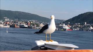 Inside the Viking Sky at Viking Homelands Ocean Cruise [upl. by Legnalos]