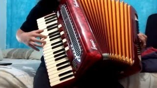 Irish Rebel Songs Set on the accordion [upl. by Manup]