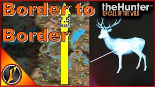 Hirschfelden from Border to Border  theHunter Call of the Wild 2018 [upl. by Manthei]