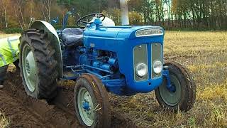 1964 Fordson Super Dexta 25 Litre 3Cyl Diesel Tractor With Ransomes Plough [upl. by Eirellav489]