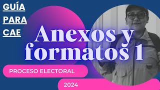 Guía para CAE  Anexos y formatos 1 INE [upl. by Ennovyhs]