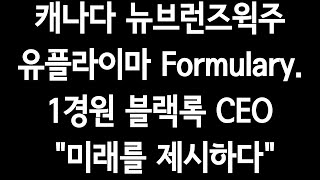 캐나다 뉴브런즈윅주 유플라이마 Formulary1경원블랙록CEOquot미래를 제시하다quot수백배폭등은quot4차산업quot [upl. by Eillac]