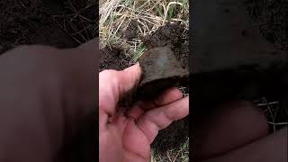 Metal Detecting Crotal Cowbell Silver Coins 1800 Relics Old Toys Farm Western NY treasure shorts [upl. by Haig]