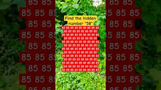 Find the hidden number quot58quot brainteasers shorts find search [upl. by Lamoree]