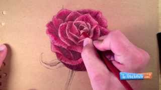 How to Draw a Rose with Colored Pencils [upl. by Aidil77]