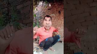 comedy lalit kumar ka 2024 lalitkumarcomedy2414 shortsvideo funny [upl. by Appleby]