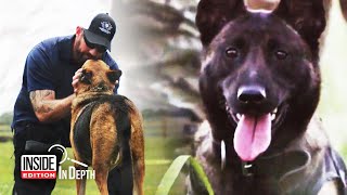 Retired Military Dogs Find New Homes Thanks to This Navy SEAL [upl. by Sikleb]