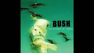 Bush  Best Tracks [upl. by Rundgren]