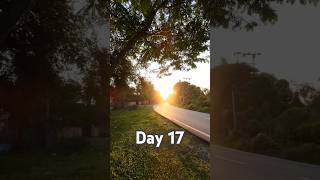 My Day 17th of the Daily Walking Challenge for 30 Days walking motivation travel dailysteps [upl. by Semmes239]