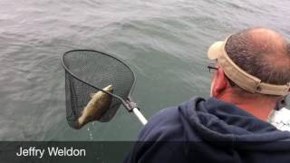 Big Bass Catch in The 1000 Islands [upl. by Jehovah]