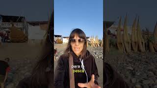 Caballitos de Totora en huanchaco [upl. by Ennayelhsa]