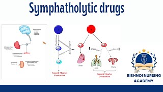 Symphatholitic drugs antihypertensive drugs in pharmacology [upl. by Thorr]