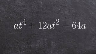 Factoring a polynomial raised to the 4th power [upl. by Aramat]