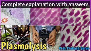 Plasmolysis  Complete explanation with answers  Std  12  Q1  4 marks  By Prof Prakash Surve [upl. by Bernie]