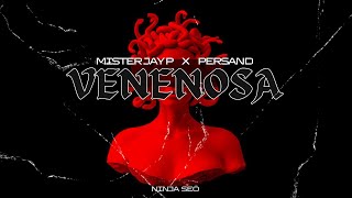 Mister Jay P ft Persand  VENENOSA 🐍 VISUALIZER [upl. by Cired]