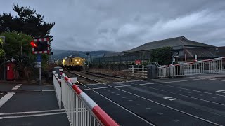 Hangman Weed Killer Barmouth South Level Crossing Gwynedd 09072024 [upl. by Demetris]