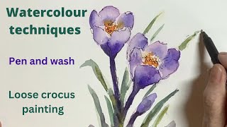 Watercolour techniques pen and wash  loose crocus painting [upl. by Ylenaj]