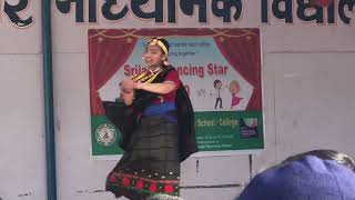 lahur jane rail lai ma  Srijana Dancing Star 2024  Dance competition  Srijana Gyansagar School [upl. by Eelah]