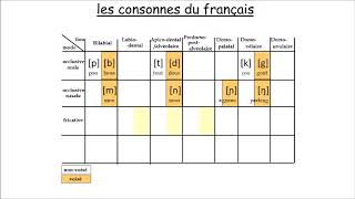 les consonnes phonétiques du français [upl. by Cicenia188]