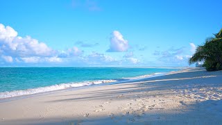 Ocean 4K UHD 🏝 Relax on a Luxury Island in Maldives [upl. by Anos67]