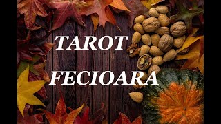 FECIOARĂ ♍TAROT NOIEMBRIE 🍎VĂ AȘTEAPTĂ O PERIOADĂ EXCELENTĂ CA O PRIMĂVARĂ ÎNSORITĂ🌟🌼🥂✨ [upl. by Gibb]