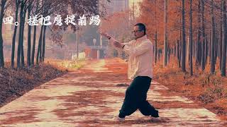 Xingyiquan dragon shape followed by a horse and three arrows quotMovement Breakdownquot Repeated training [upl. by Adnara860]