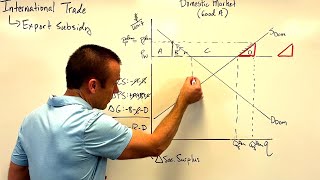International Trade Export Subsidies [upl. by Ayocal]