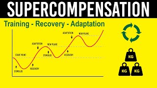 Training Recovery amp Adaptation Supercompensation principle [upl. by Ramah612]