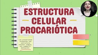 ULTRAESTRUCTURA DE LAS CÉLULAS PROCARIÓTICAS FUNCIONES Y APRENDER A DIBUJARLA [upl. by Sukramed565]