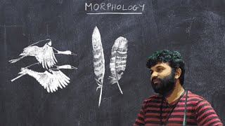 Basic Ornithology Morphology Feathers Plumage and Flight [upl. by Thane901]