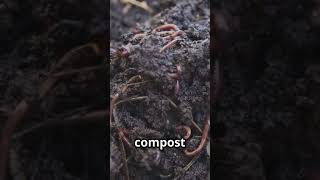 How Earthworms Revolutionized Agriculture [upl. by Eivad]