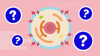 Emerging Therapeutics for APOL1Mediated Kidney Disease [upl. by Ketti]